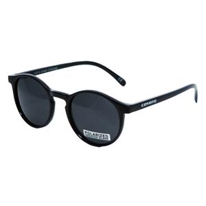 Brýle COYOTE Vision Fashion 50359