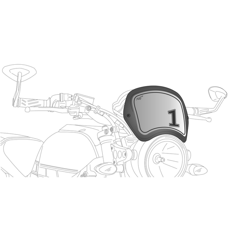 Náhradní PUIG FRONTAL PLATE karbonový vzhled
