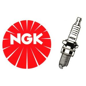 Zapalovací svíčka NGK DR8EB