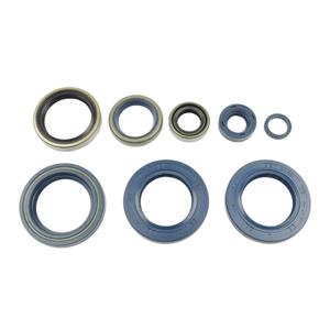 Sada gufer motoru ATHENA P400270400006