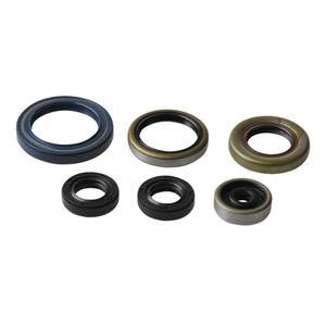 Sada gufer motoru ATHENA P400270400013