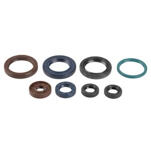 Sada gufer motoru ATHENA P400270400016