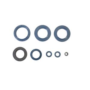 Sada gufer motoru ATHENA P400010400020