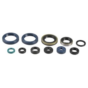 Sada gufer motoru ATHENA P400250400016