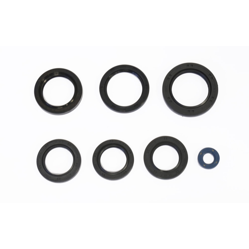 Sada gufer motoru ATHENA