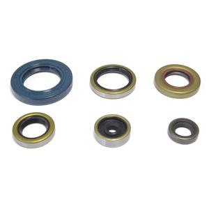 Sada gufer motoru ATHENA P400270400047
