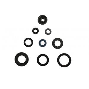 Sada gufer motoru ATHENA P400485400048