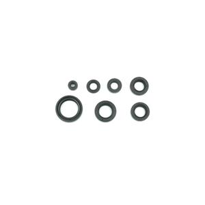 Sada gufer motoru ATHENA P4E0210400011