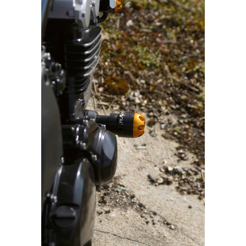 Yamaha FZS 600 (98-03) Classic