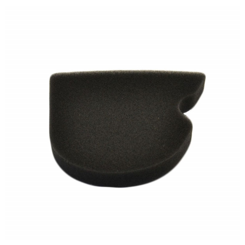 Vzduchový filtr ATHENA pro KAWASAKI KLX 110 (R) 2002-2025