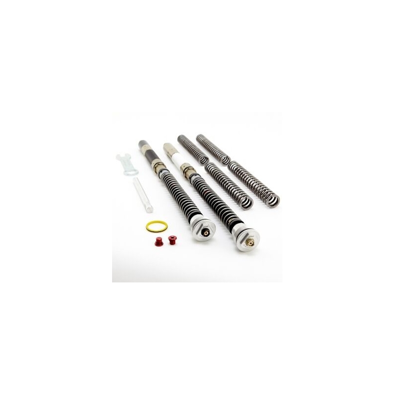Cartridge přední vidlice K-TECH DDS