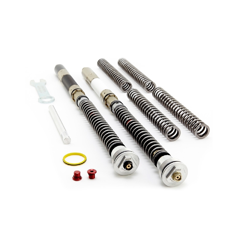Cartridge přední vidlice K-TECH DDS pro TRIUMPH Daytona 675 2009-2012