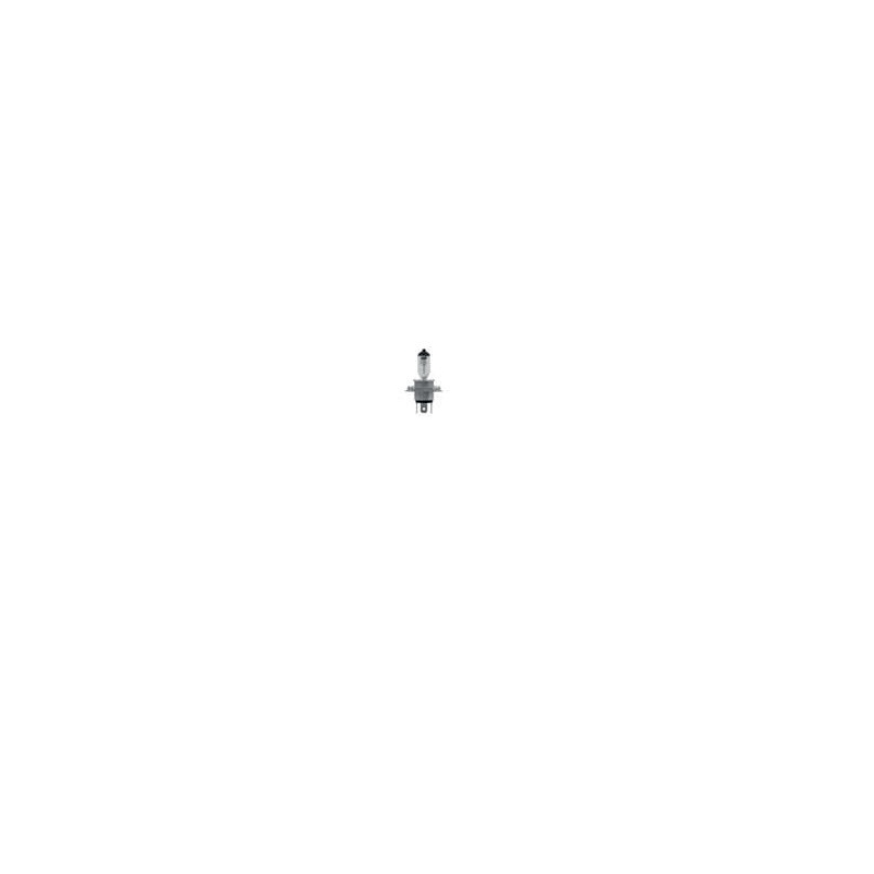 Přední světlo RMS H4 12V 60/55W