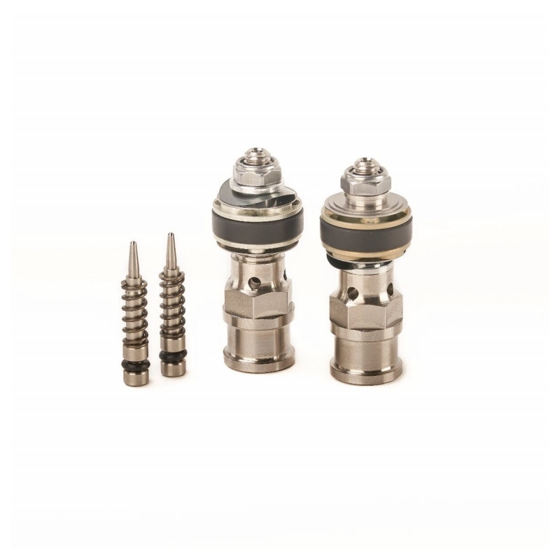 FF Piston kit K-TECH