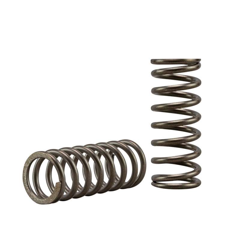 Sada spojkových pružin EBC
