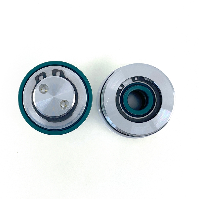 Glide kit SKF pro WP AER 48mm
